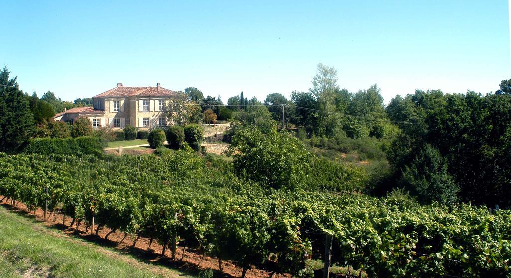 Chateau De Rouffiac Bed & Breakfast Duravel Exterior photo