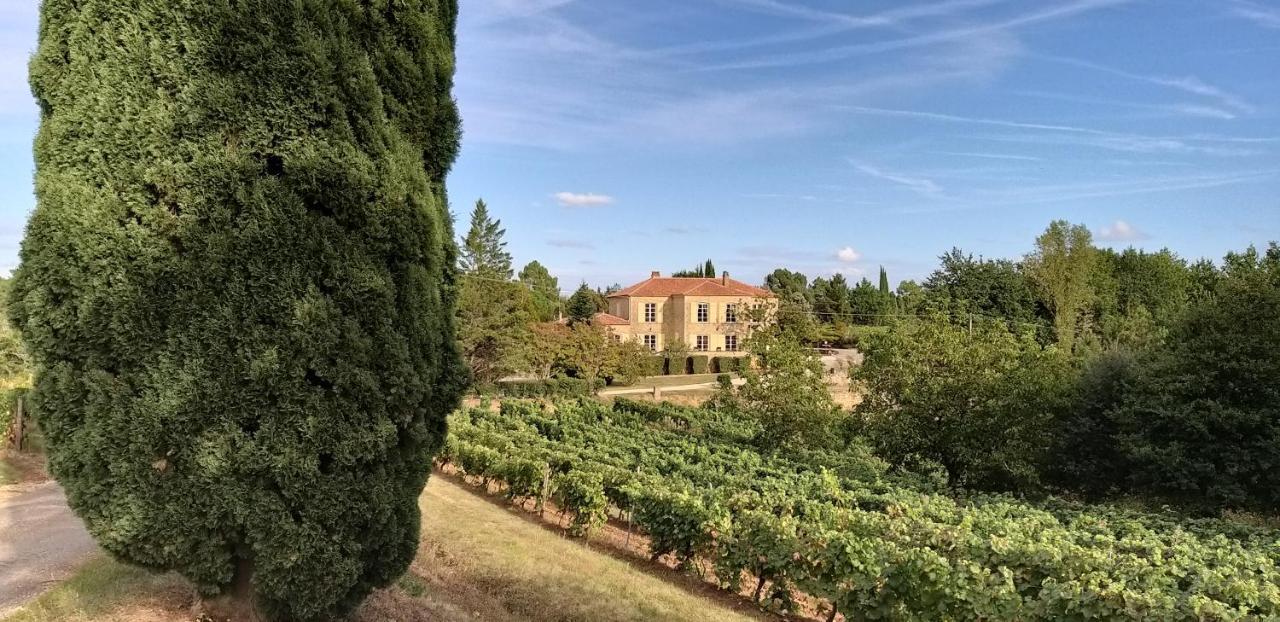 Chateau De Rouffiac Bed & Breakfast Duravel Exterior photo